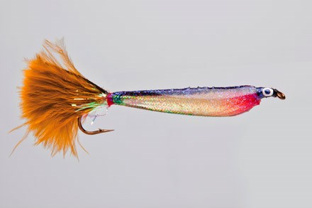 Wonder Minnow
