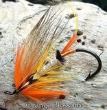 Orange Blossom